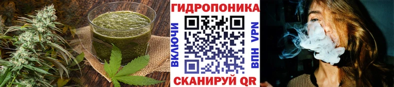 Купить где  Курчатов  Canna-Cookies марихуана 